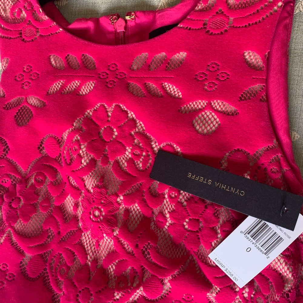 Nordstrom NWT~Cynthia Steffe~0~Sleeveless Dress - Picture 2 of 5